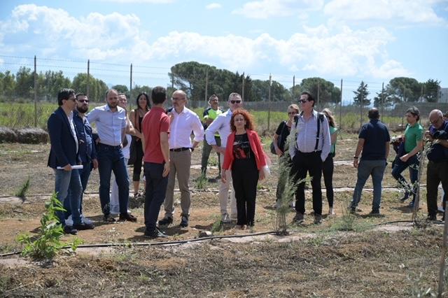 La presentazione dell'intervento di forestazione a Cortexandra