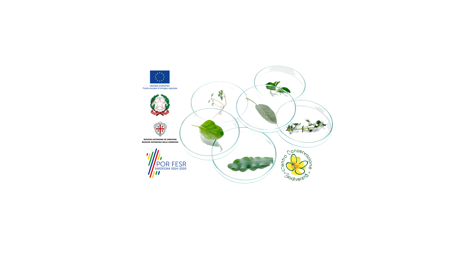 Progetto PAI