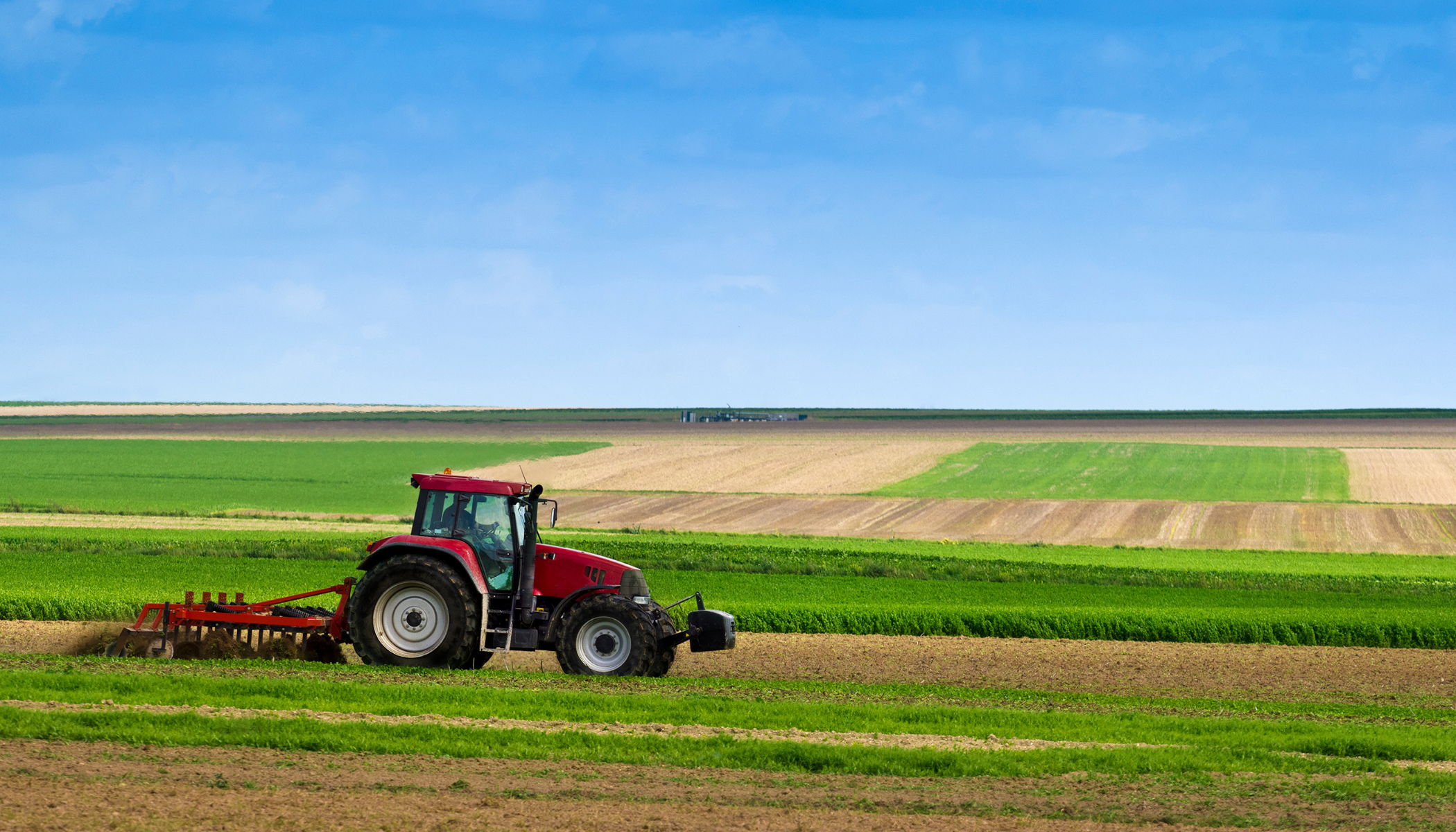 Settore agricolo