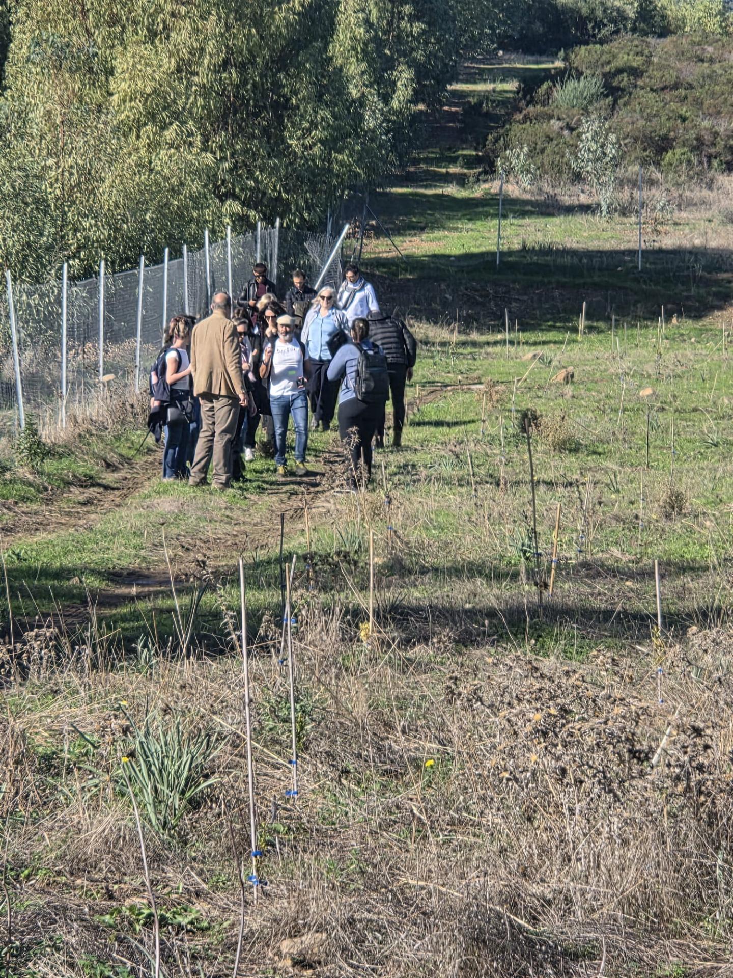Il sopralluogo in uno dei siti interessati dai progetti di forestazione finanziati con fondi PNRR