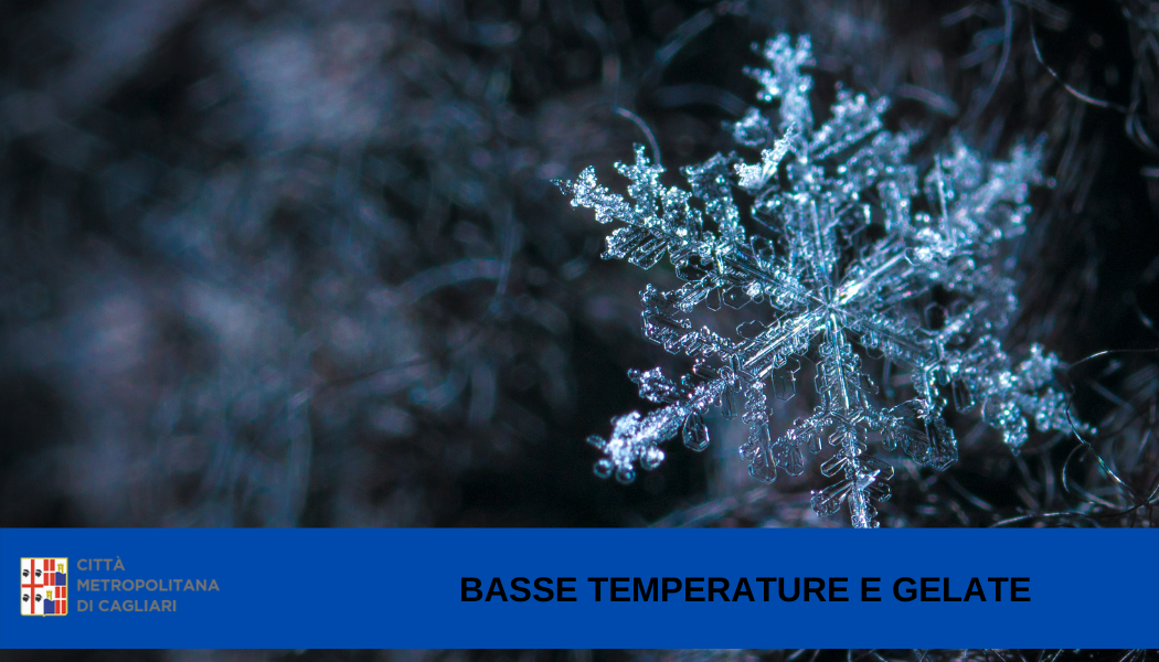 Raffigurazione inerente un cristallo di neve